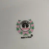 گلسرخی|ظروف سرو و پذیرایی|قم, قلعه کامکار|دیوار