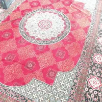 قالی ۱۲|فرش|اهواز, کمپلو شمالی|دیوار