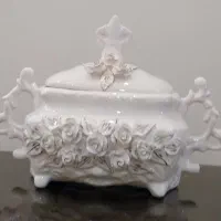 ظروف پذیرایی نو