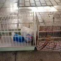 ۲ عدد قفس یکی برای سره.یکی هم برای همستر.و.