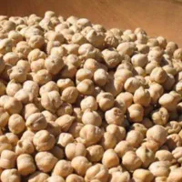 نخود در جه ۱ کرمانشاه