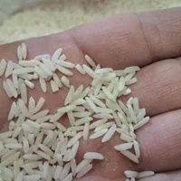 برنج هاشمی  عطری درجه یک شمال|خوردنی و آشامیدنی|تهران, ارامنه|دیوار