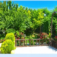 اجاره باغ مهریز|اجارهٔ کوتاه‌مدت ویلا و باغ|مهریز, |دیوار