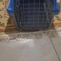 باکس حمل سگ وگربه