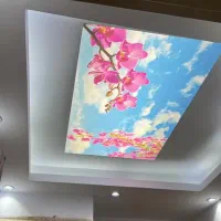 کناف و سقف کاذب زیر ۵۰ متر یک روزه در تهران|خدمات پیشه و مهارت|تهران, پاسداران|دیوار