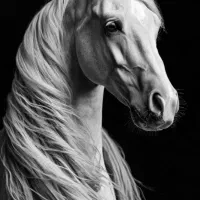 آموزش سیاه قلم انجام وپذیرفته میشود|خدمات آموزشی|کرمان, |دیوار