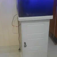 فروش آکواریوم فوق العاده جذاب