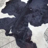 پ وست دباغی شده گاو|فرش|مشهد, هنرستان|دیوار