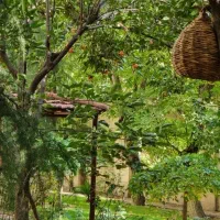 ۲۱۰ متر ۲ خواب / نیاوران کامرانیه