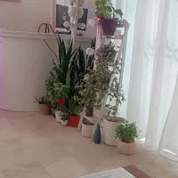 وسایل سالن زیبایی بصورت یکجا|آرایشگاه و سالن‌های زیبایی|بروجرد, |دیوار