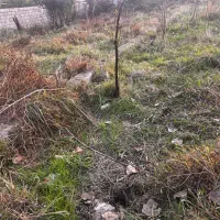 زمین مسکونی ۳۰۰متری  سند تک برگ  شهرک بام سبز|فروش زمین و ملک کلنگی|رضوانشهر, |دیوار