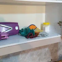 دستگاه میوه خشک کنی ۱۵۰ کیلویی کاملا نو|ماشین‌آلات صنعتی|مشهد, توس (بلوار توس)|دیوار