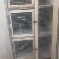 جفت کن کفتر