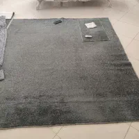 پالاز موکت