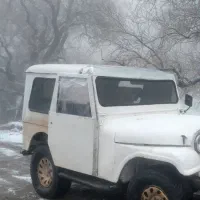 جیپ کالسکه ای