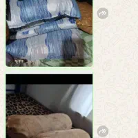 ظروف|ظروف سرو و پذیرایی|ساری, |دیوار