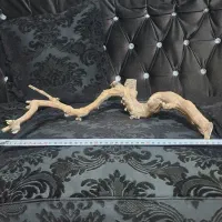 آبنوس آکواریوم