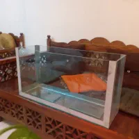 آکواریوم ماهی
