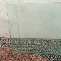 اکواریوم شیشه خم|ماهی|اردبیل, |دیوار