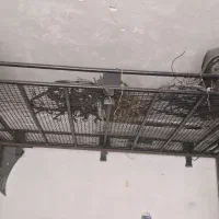 باربند پاترول|قطعات یدکی و لوازم جانبی|ملکشاهی, |دیوار