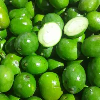 بی هسته میناب