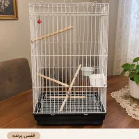 فوری توافقی فروش قفس با کیفیت