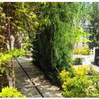 ویلای نوساز استخر دار/سند معتبر/محدوده کوچصفهان|فروش خانه و ویلا|کوچصفهان, |دیوار