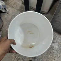 کولمن تسفیه اب|آب‌سردکن و تصفیه آب|رشت, عینک|دیوار