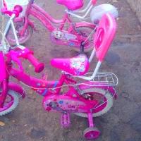 دوچرخه درحد نوع