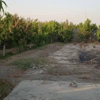 باغ چهار دیواری / سندتک برگ / دهشاد/شهریار /تهران|فروش خانه و ویلا|شهریار, دهشاد پائین|دیوار