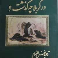 کتاب در کربلا چه گذشت