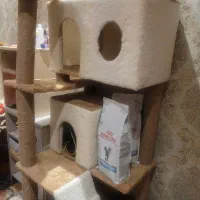 اسکرکچر درختی