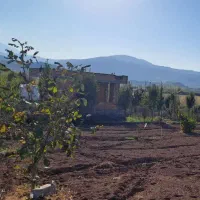 فروش زمین درییلاق خوش آب وهوای دودانگه علی آباد