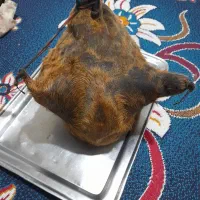 هیزه|ظروف نگهدارنده، پلاستیکی، یک‌بارمصرف|دورود, |دیوار