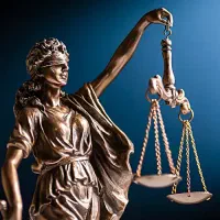 وکیل دادگستری و مشاور حقوقی