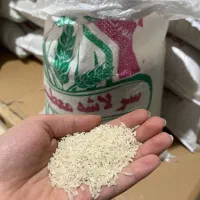 برنج ایرانی شمال ( اقساط ۳ ماهه)|خوردنی و آشامیدنی|یزد, |دیوار