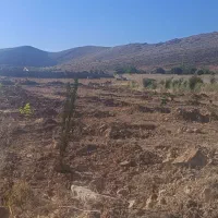 ۱۲۰۰متر ملوسجان