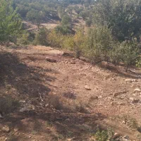 باغ ویلا تاف|فروش خانه و ویلا|مشهد, خرم آباد|دیوار