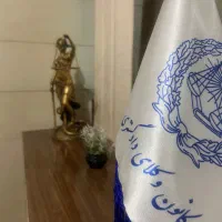 وکیل