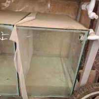 20 عدد اکواریوم