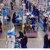 جذب نیروی کارگر خانم برا کار در کارگاه تفیکیک گونی|استخدام صنعتی، فنی، مهندسی|مبارکه, |دیوار