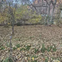 زمین-ولیعصر