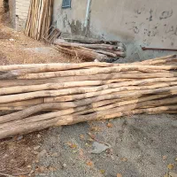 چوب فروشی لطفی|مصالح و تجهیزات ساختمان|دیواندره, |دیوار