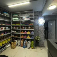 همکار دستیار و منشی کلینیک دامپزشکی