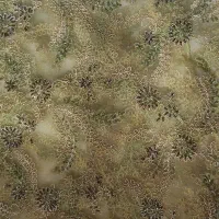 وسایل بله برون عروس