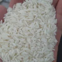 برنج طارم هاشمی فجر سوزنی|خوردنی و آشامیدنی|سبزوار, هویزه|دیوار