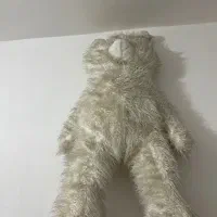 خرس بزرگ