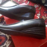 کفش‌های زنانه سایز 36،37|کیف، کفش، کمربند|تبریز, |دیوار