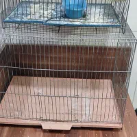 تعدادی قفس پرنده