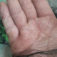 تور ماهیگیری